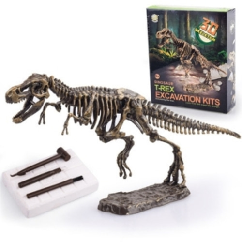 공룡화석 발굴키트 대 트리케라톱스