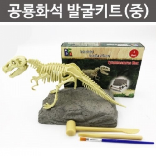 공룡화석 발굴키트 중 트리케라톱스