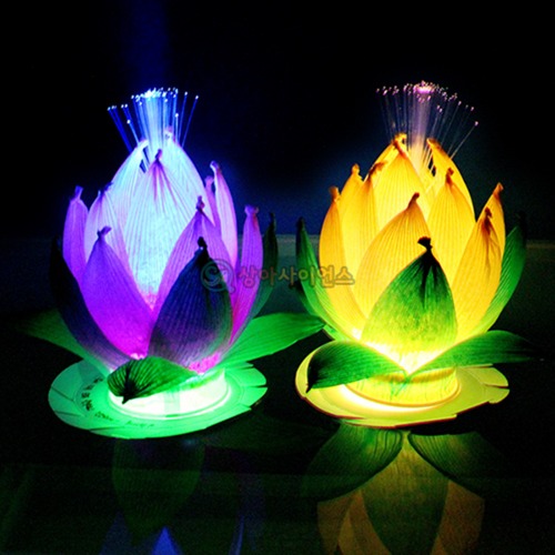 물에 띄우는 LED소원꽃만들기 5인 세트