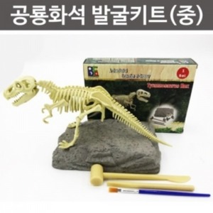 공룡화석 발굴키트 중 티라노사우루스