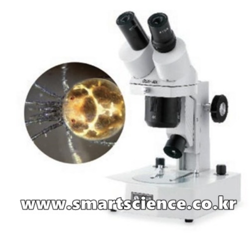 보급형 쌍안 실체현미경 OSS-40L