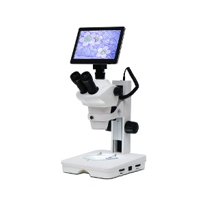실체 현미경 BF-MS168LCD