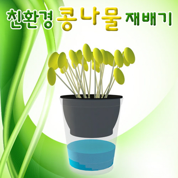 콩나물기르기(친환경 콩나물 재배기)